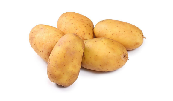 狗狗也可以吃土豆吗？特别注意熟食别超剂量用药(图1)