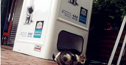 可以提供食物给流浪猫|自动贩卖机 用可以回收瓶子为流浪猫狗提供给食物!(图4)