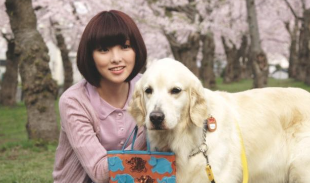 任由其了狗狗这7种坏习惯 会给你悔不当初(图1)