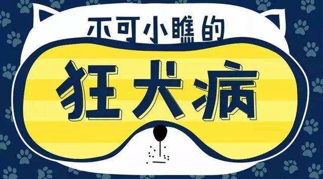狂犬病人会咬人吗？不首先排除这个(图2)