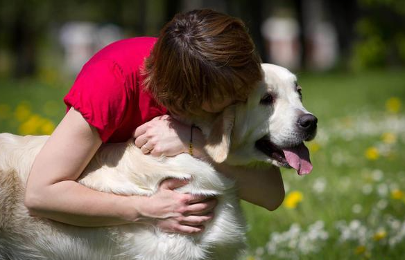 狗吃宠物肠胃宝有什么用？宠物肠胃宝有哪些地方独到之处？(图2)