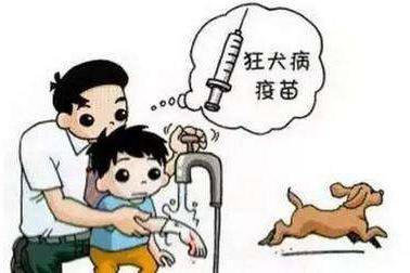 狂犬病的潜伏期是多久？万不可胡乱猜测(图3)