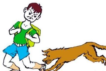 狂犬病的潜伏期是多久？万不可胡乱猜测(图2)