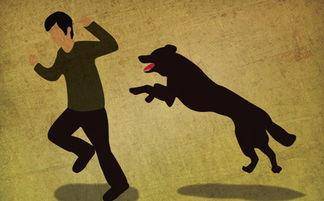 狂犬病会传染吗？传染是有一定的条件的(图1)