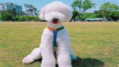 巨贵几个月是它疯长期(图1)