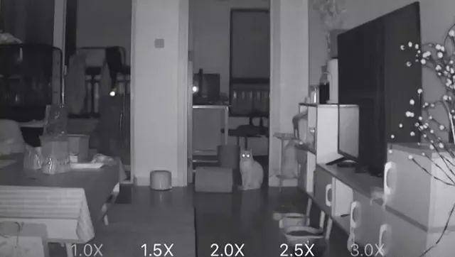 猫是“独行侠”所以才不担心寂寞？70%的猫肯定会患上分离的过程焦虑症！(图3)