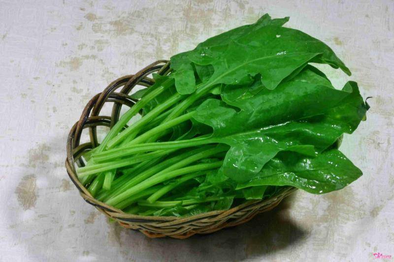 狗狗能吃什么蔬菜 不能吃的蔬菜太多了(图3)