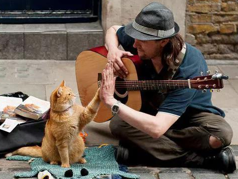 《街猫鲍勃》：这只橘猫不单自己挣猫粮 还顺便养得活了铲屎官(图1)