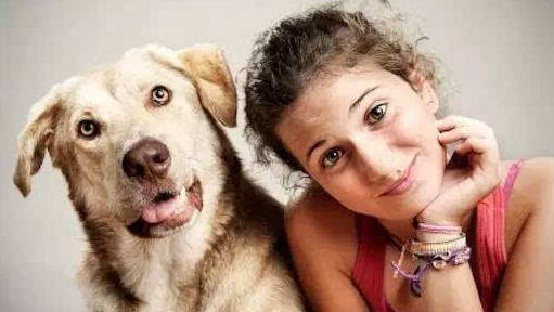 狗狗营养不足咋办狗狗身体消瘦该怎么办啊(图1)