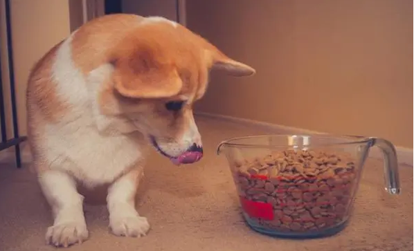 怎么一批狗粮呢？(图2)