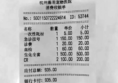 猫做绝育手术2000元宠物看病贵主人无所谓了(图1)