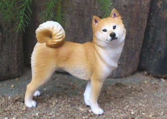 狗狗单独行动就乱跑 要如何都叫不回家里 用这5招 它乖乖地跟你回家来(图1)