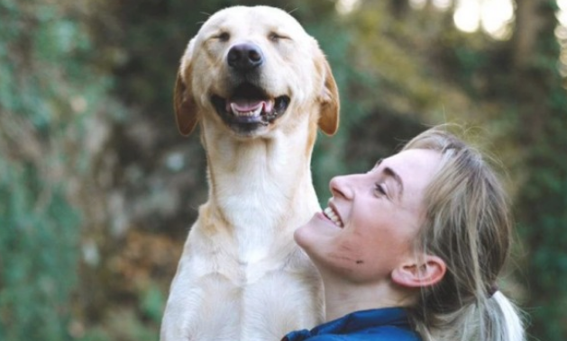 小狗也早有青春叛逆期个人行为？(图2)