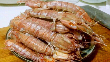 中国哪里有在养殖皮皮虾(图1)