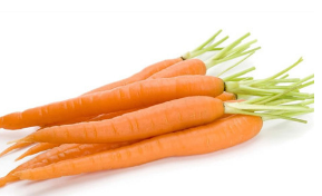 土狗五年来几回例假 土狗来大姨妈周期时间(图2)