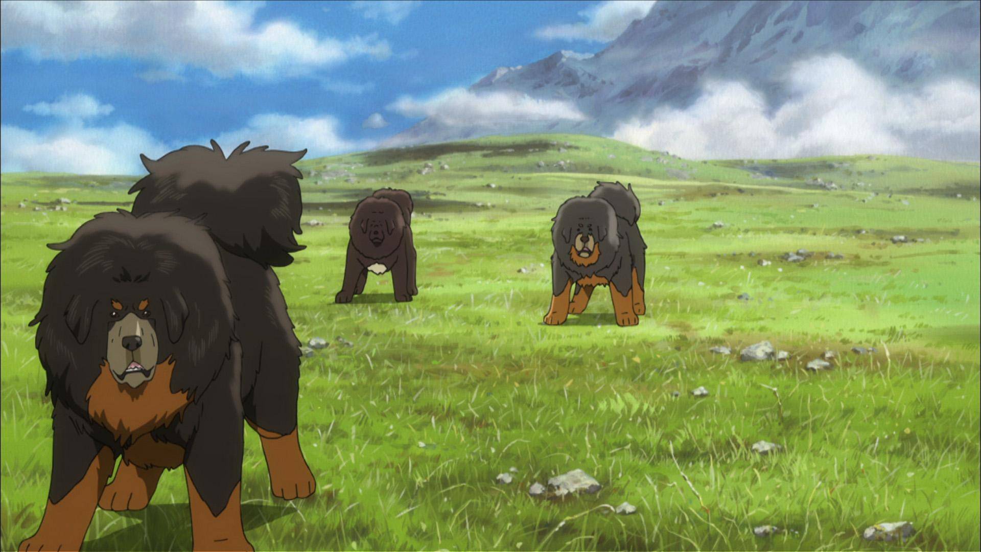 关于藏獒的电影大全 四部电影不容错过(图2)