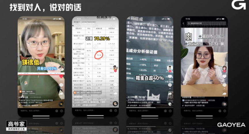养猫方知父母恩 宠物新消费让我眼光缭乱(图2)