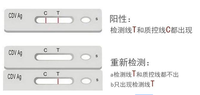 细小治疗费用 前提是的费用小解(图3)
