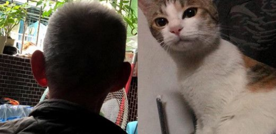 猫咪觉察到爷爷有异太反常大声尖叫让爷爷黄金时期获抢救(图1)