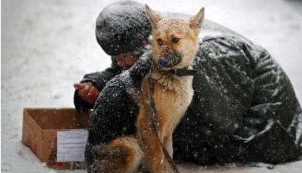 狗狗“突然叛变”的几个信号 一但会出现 主人要警惕了(图1)