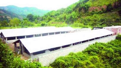 在自家地里建养殖场政府赞成吗(图1)