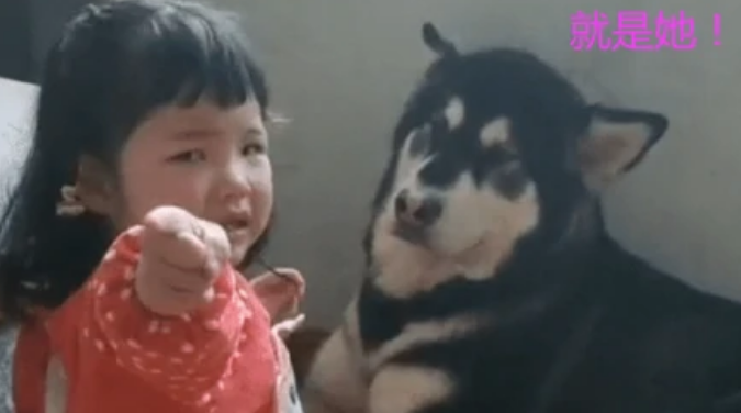 5岁女儿跟小猫在一起看手机 宝妈：下一秒钟把人给笑翻(图1)