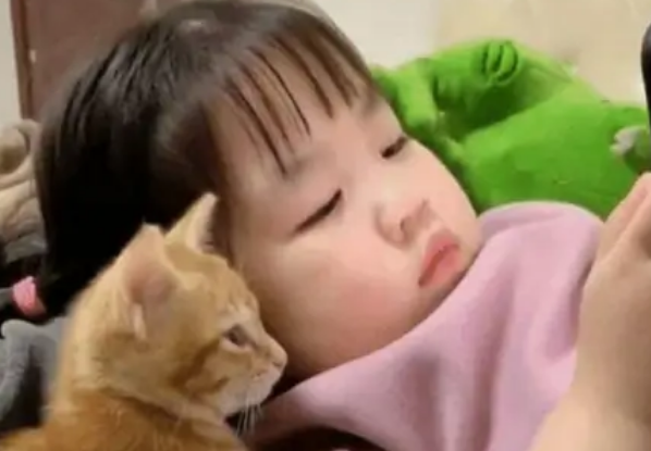 5岁女儿跟小猫在一起看手机 宝妈：下一秒钟把人给笑翻(图2)