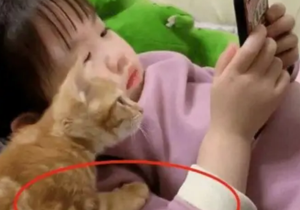 5岁女儿跟小猫在一起看手机 宝妈：下一秒钟把人给笑翻(图3)