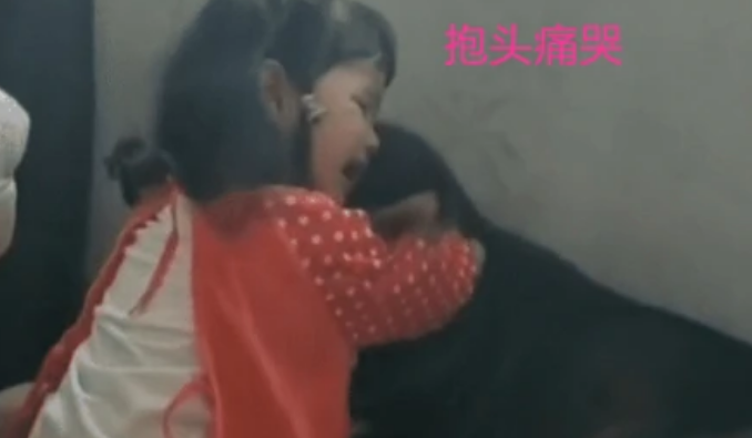 5岁女儿跟小猫在一起看手机 宝妈：下一秒钟把人给笑翻(图7)