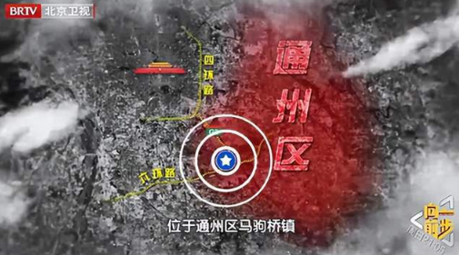 爱心投喂引争议 流浪猫管理这道社会难题 到底是该如何能回答一(图1)