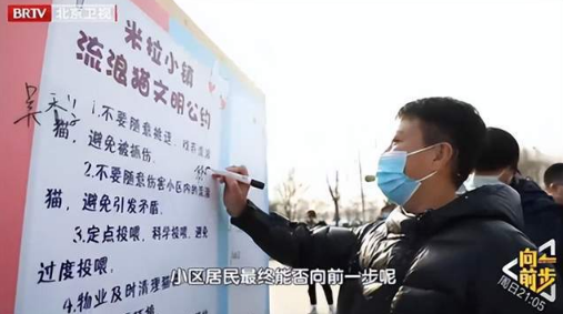 爱心投喂引争议 流浪猫管理这道社会难题 到底是该如何能回答一(图4)