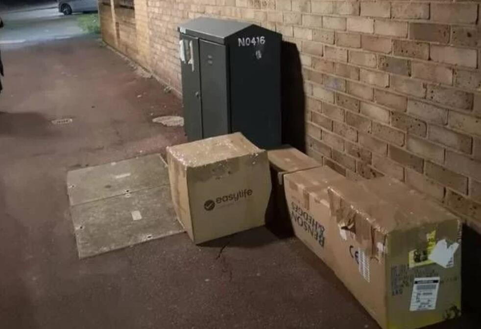 好心人在路边听见极其微弱猫叫 密封纸箱再打开后 里面陡然间11只小猫(图1)