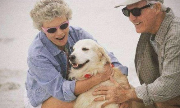 这“6种小狗” 很比较合适父母喂食 你要想选哪一种狗送父母呢？(图1)