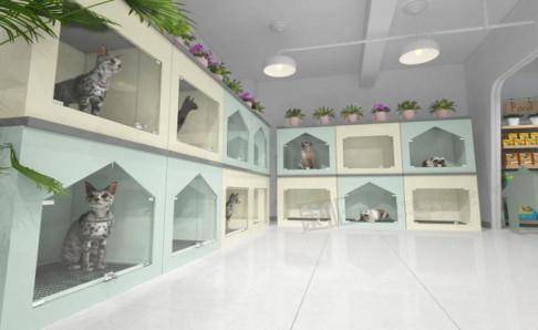 开宠物店需要多少钱？这真要看区域地段(图2)