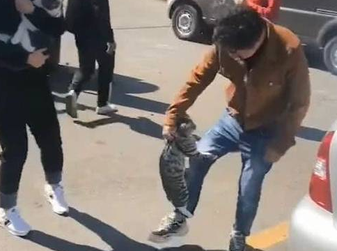 猫咪扶着男子的腿不放 引众人议论纷纷 很清楚原因笑疯了 猫：我不做绝育手术(图1)