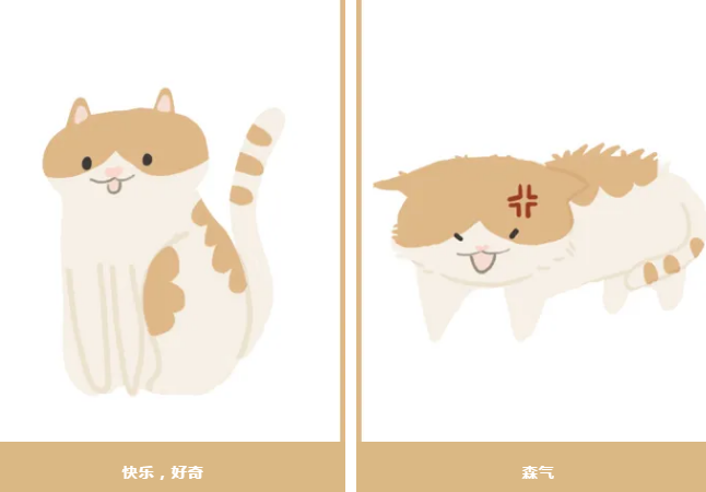 一个伤猫咪耳朵的习惯 你可能会一天都在做(图4)