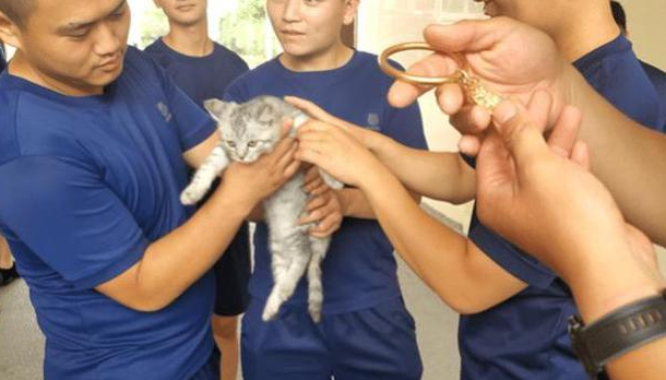 猫头被手镯卡在那里了 消防员却口中发出灵魂拷问：保猫还是保镯子？(图1)
