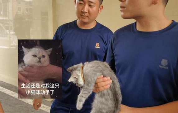 猫头被手镯卡在那里了 消防员却口中发出灵魂拷问：保猫还是保镯子？(图3)