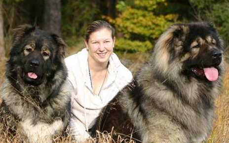 高加索很厉害吗？盯着都觉得胆怯(图2)