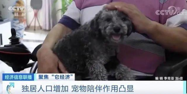 宠物行业白皮书：我国养猫人群数将近养狗人群数(图5)