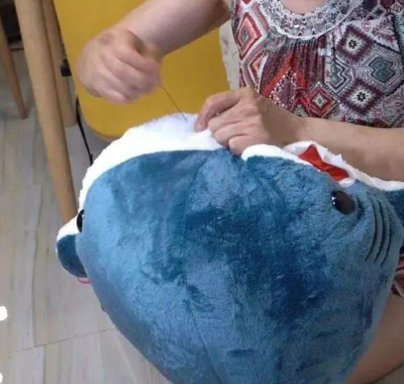 家里猫猫被鲨鱼咬了 奶奶连夜把鲨鱼嘴缝上(图2)