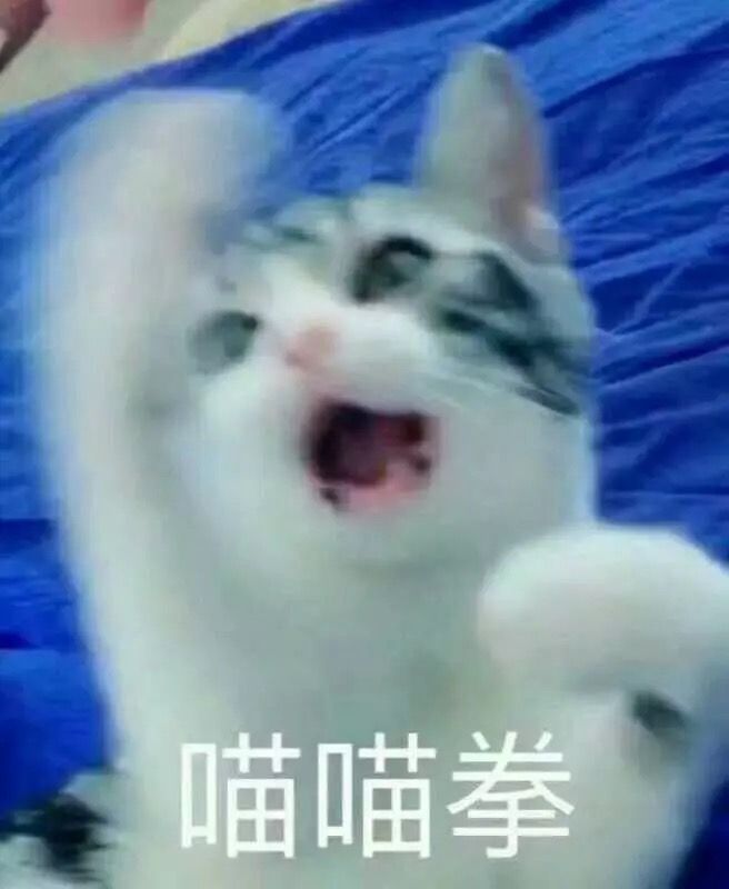 当当当 给首页减少“猫片”含量~(图3)