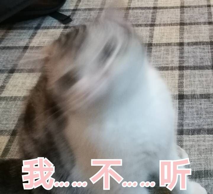 当当当 给首页减少“猫片”含量~(图5)