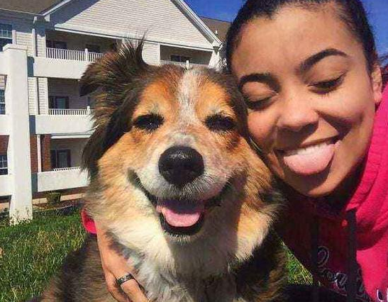 当家里狗儿有这六个主要注意表现时 那主人很快就会斗不过它！(图1)