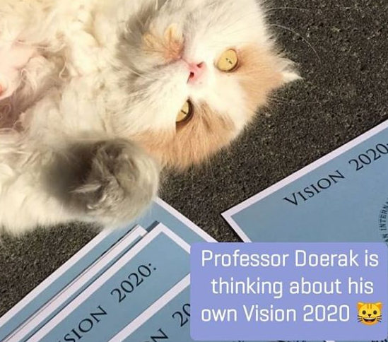 颜值超高的猫咪为治情伤离家 不仅仅好东西一大票粉丝 还考进大学.......(图5)