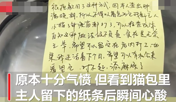 肿瘤晚期主人给猫咖留纸条相托爱猫自己得了绝症却给猫找了生路真是感人至深(图3)