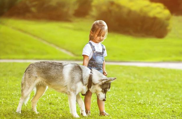 狗狗体外驱虫多久之后四次最合适呢？(图1)