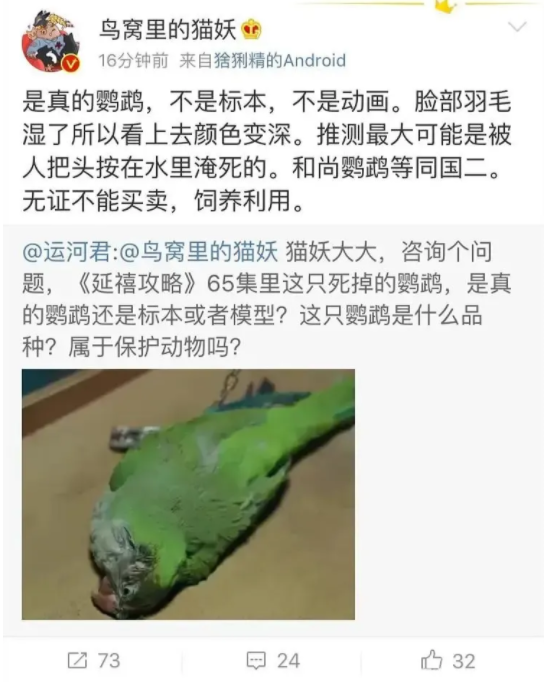 被淹死鹦鹉烧死猫 于正的剧组究竟有没有有多狠？(图4)