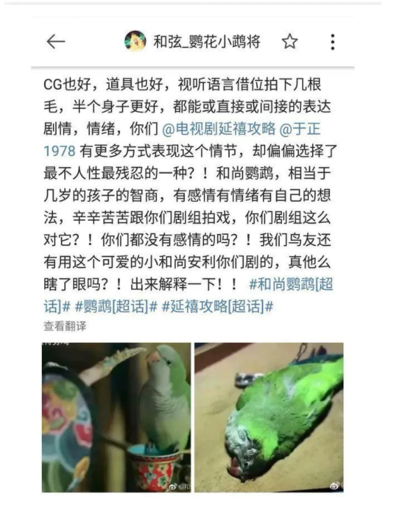 被淹死鹦鹉烧死猫 于正的剧组究竟有没有有多狠？(图5)