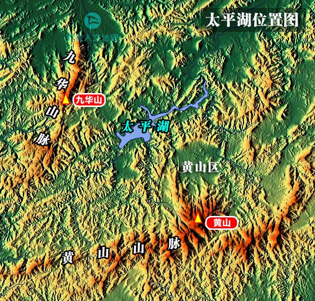 疫情当下 这个“傻”大姐 用十余载守护一方猫狗！(图1)